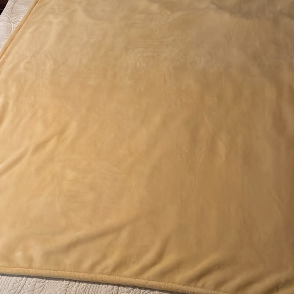 Rae Dunn Queen Bee throw with patch GREAT FOR FALL - Picture 4 of 7